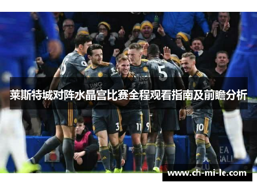 莱斯特城对阵水晶宫比赛全程观看指南及前瞻分析