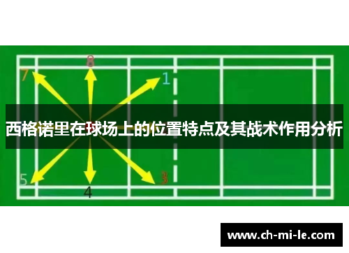西格诺里在球场上的位置特点及其战术作用分析